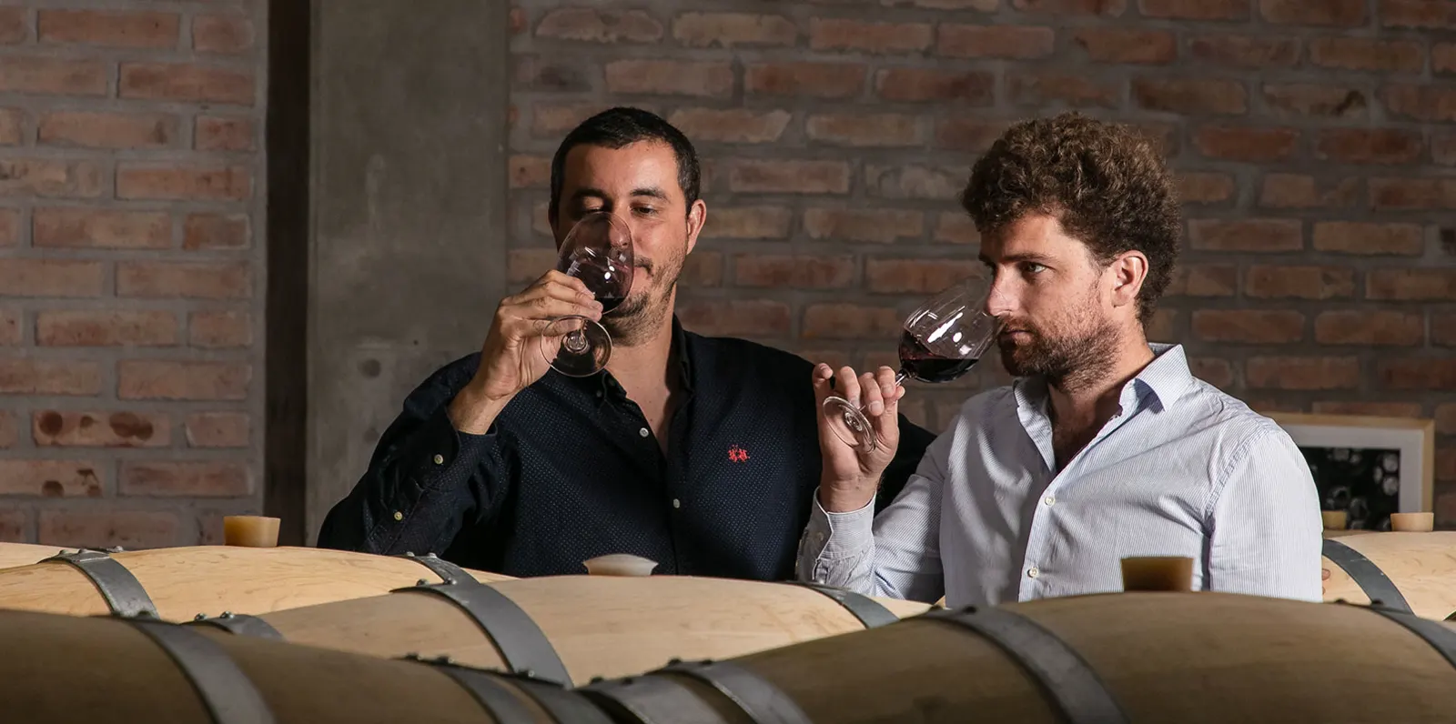 Dégustation de vin sur les barriques, dans la salle d’élevage