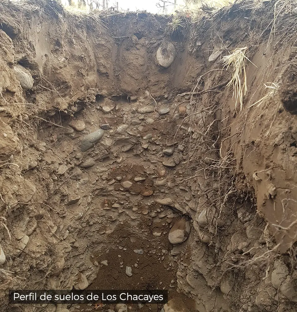 Profil de sol de Los Chacayes : fosse pédologique et galets roulés