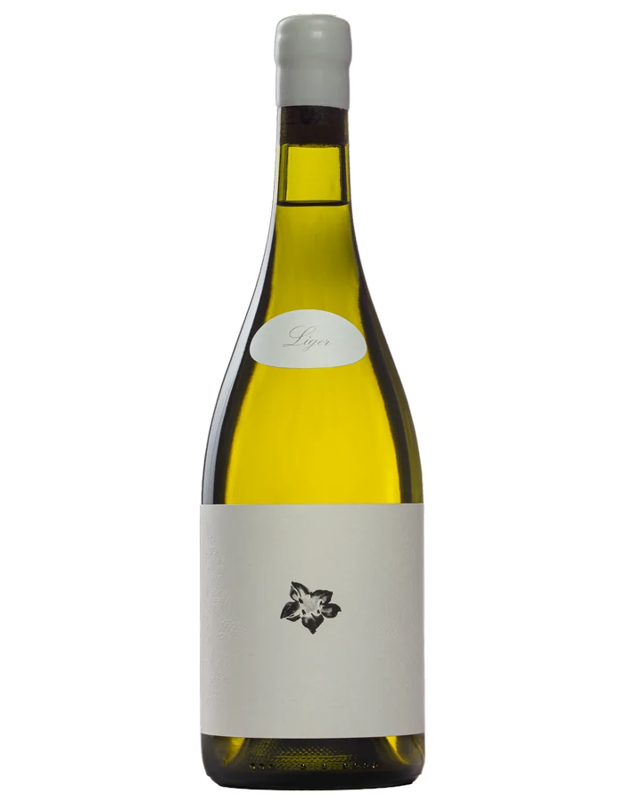 Mundo Revés Chenin Blanc Liger 2025 — 750 ml bottle