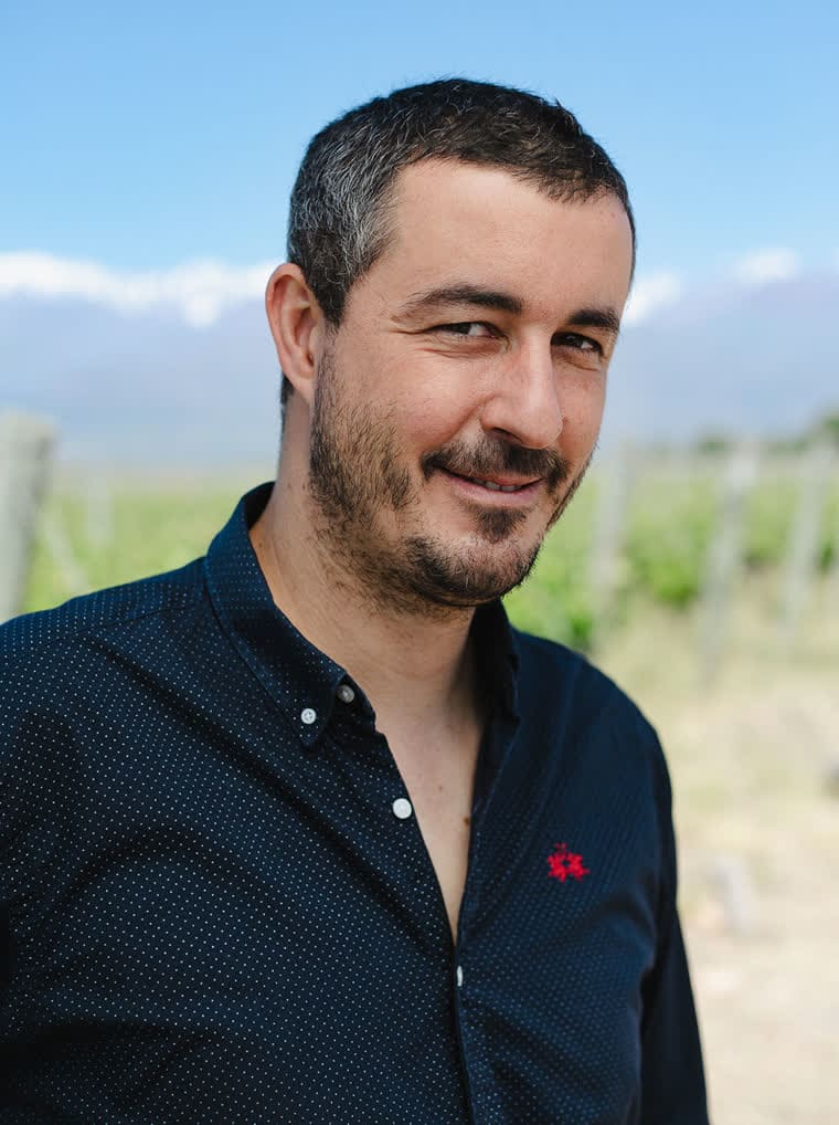 Quentin Pommier dans la vigne