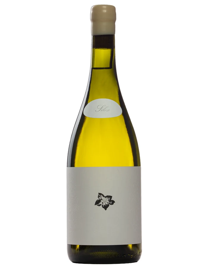Mundo Revés Chardonnay Silex 2025 — Bouteille de 750 ml