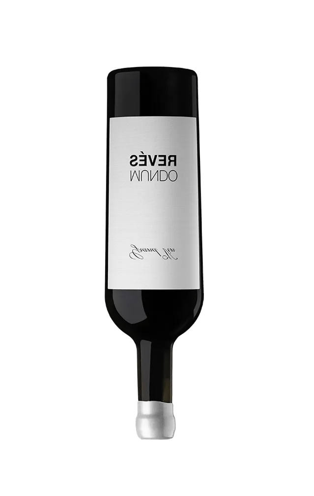 Bouteille Mundo Revés Grand Vin