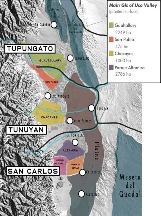Principales I.G. de la Vallée de Uco